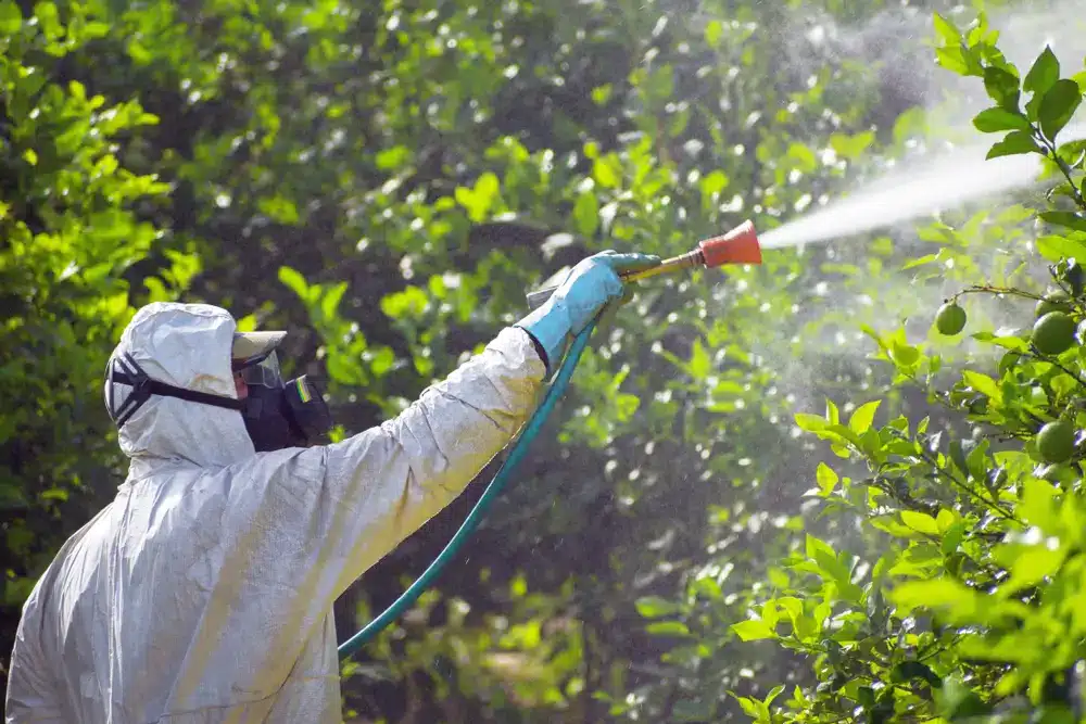 Weed insecticide fumigation.