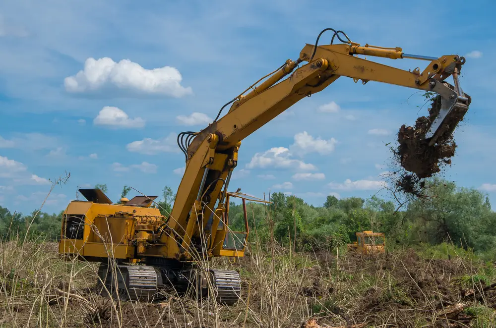 Seizure of forest land for agriculture. Destruction of forests with digger.