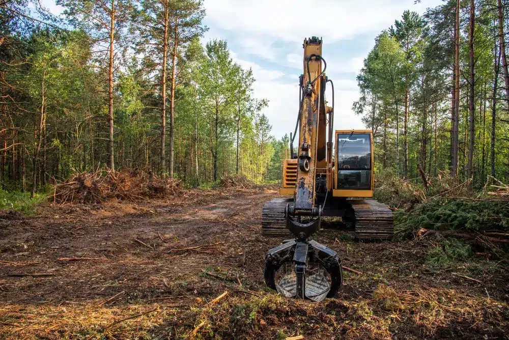 Excavator Grapple during clearing forest for new development.