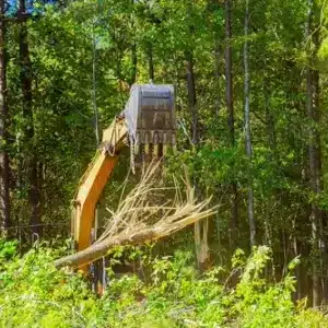 Excavator uses its claw to deforestation fallen trees in lush green forest under construction area.