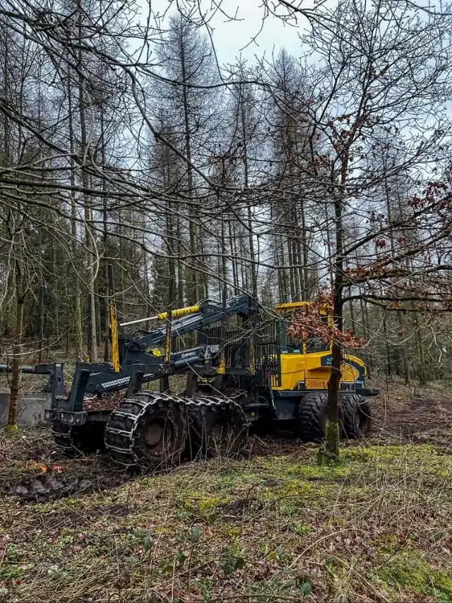 View of transport for forestry.