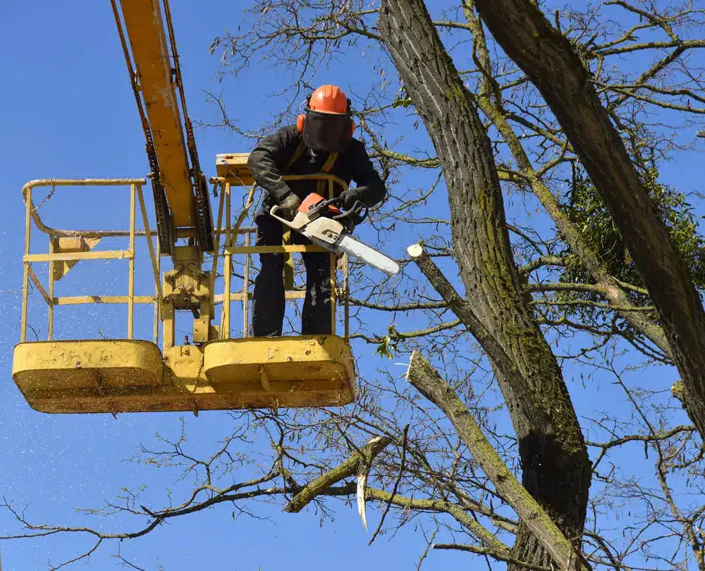 A worker in a protective suit cuts tree branches with a chainsaw.