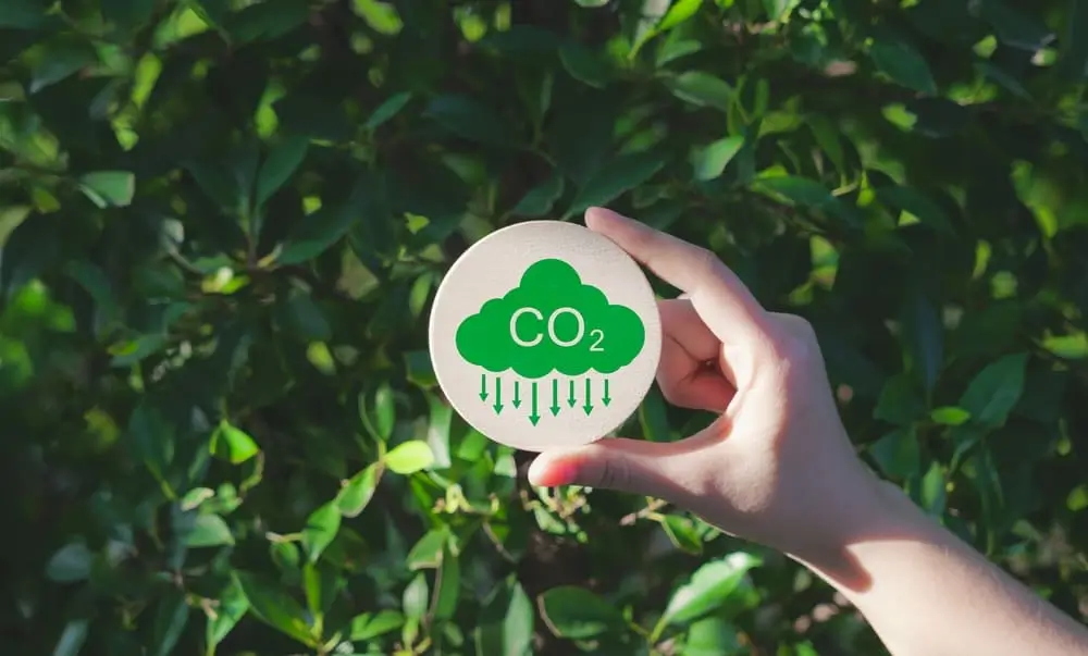 Reduce CO2 emission concept. 