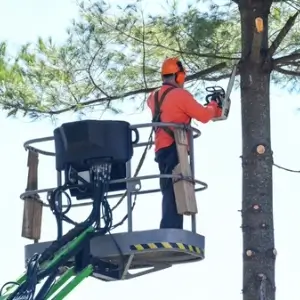 Manual worker sawing the tree trunk for tree removal.