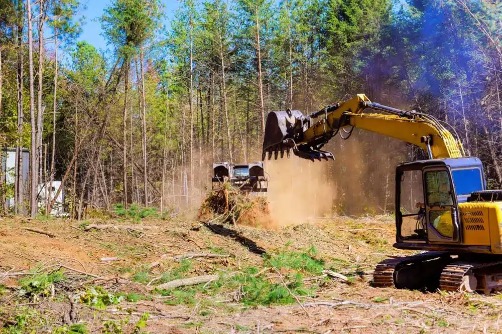 Trees are uprooted during preparation of construction site when an excavator is being used by contractor.