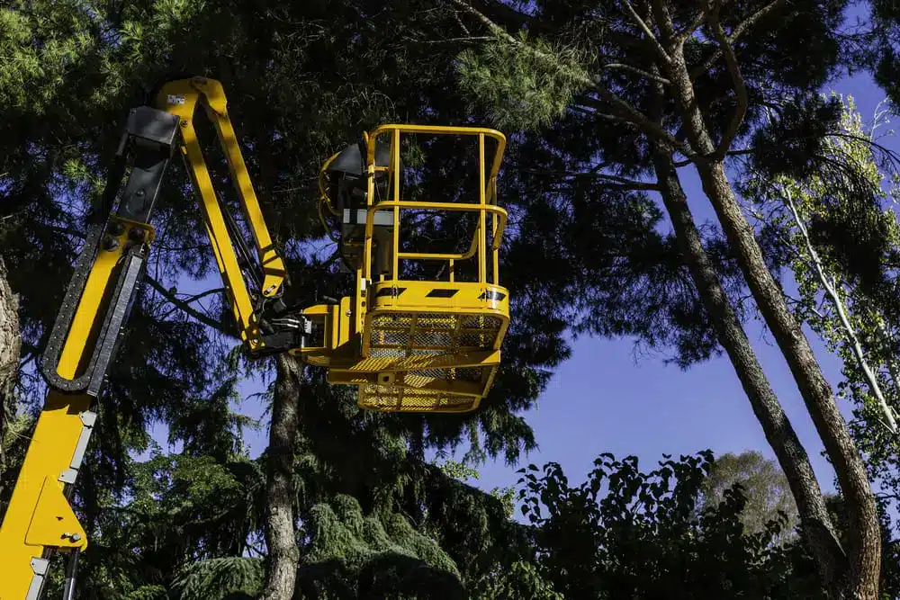 Yellow platform lift in the forest to prune trees.